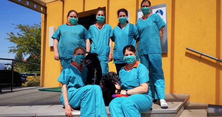 Team der Kleintierklinik St. Veit