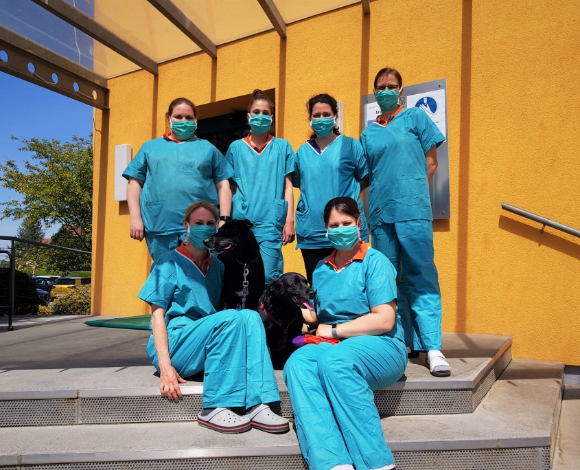 Team der Kleintierklinik St. Veit