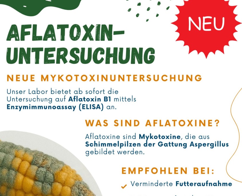 Aflatoxinuntersuchung jetzt im Labor St- Veit
