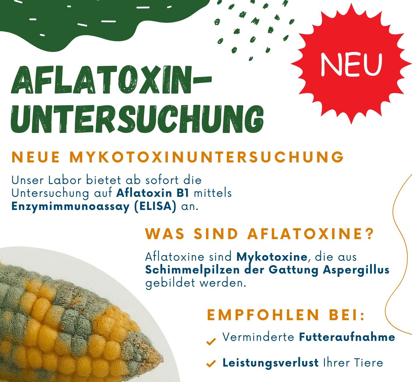 Aflatoxinuntersuchung jetzt im Labor St- Veit