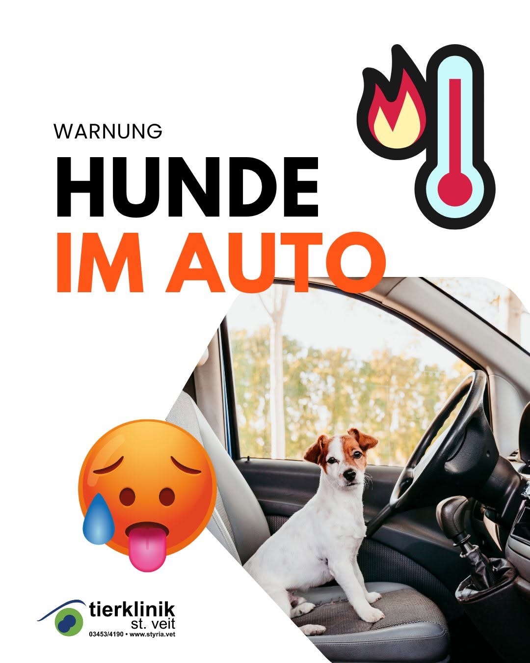 Haustier Auto Sommer Hunde in der Sommerhitze