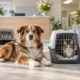 Tragebox Hund Katze